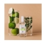 Berdoues Eau de Cologne Thé Vert Berdoues 125ml