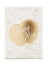Jeanne Arthes Amore Mio White Pearl Eau de Parfum