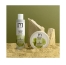 Patrice Mulato Shampooing Purifiant Cheveux Gras Argila Mulato 200ml