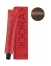 Schwarzkopf Coloration Permanente Igora Royal 6-6 Blond Foncé Marron