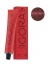 Schwarzkopf Coloration Permanente Igora Royal 6-88 Blond Foncé Rouge Extra