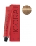 Schwarzkopf Coloration Permanente Igora Royal 8-65 Blond Clair Marron Doré