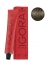 Schwarzkopf Coloration Permanente Igora Royal Cools 6-23 Blond Foncé Fumé Mat