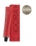 Schwarzkopf Coloration Permanente Igora Royal Cools 9-11 Blond Très Clair Cendré Extra