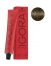 Schwarzkopf Coloration Permanente Igora Royal Cools 6-31 Blond Foncé Mat Cendré