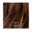 Wella Coloration Semi-Permanente 08/38 Honey Latte Shinefinity
