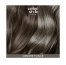 Indola Mousse Colorante Cendré Foncé Color Style Mousse