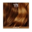 Indola Mousse Colorante Noisette Color Style Mousse