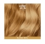 Indola Mousse Colorante Blond Miel Color Style Mousse