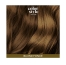 Indola Mousse Colorante Blond Foncé Color Style Mousse
