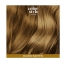 Indola Mousse Colorante Blond Moyen Color Style Mousse