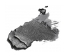 Gosh Copenhagen Ombre à Paupières Forever Eye Shadow 05 Grey Gosh