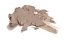 Gosh Copenhagen Ombre à Paupières Forever Eye Shadow 09 Matt Nougat Gosh