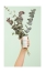 Caudalie Vinofresh Stick Déodorant Naturel 24H 50 g