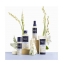 Phyto Shampooing Douceur Phyto 100ml