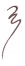 Maybelline New York Color Sensational Crayon Contour des Lèvres Sculptant 1 g - Teinte : 8 Gone Greige