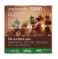Garnier Good Coloration Permanente Sans Ammoniaque 160 ml - Coloration : 10.14 Blond Très Clair Camomille