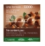 Garnier Good Coloration Permanente Sans Ammoniaque 160 ml - Coloration : 3.12 Châtain Foncé Myrtille