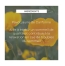 Weleda Sommeil Pavot Jaune de Californie Bio 100 ml