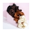 Brushworks 4 Chouchous en Satin