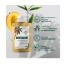 Klorane Shampoing à la Mangue 200 ml