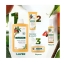 Klorane Shampoing à la Mangue 200 ml