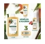 Klorane Nutrition - Cheveux Secs Après-Shampoing à la Mangue 50 ml
