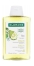 Klorane Légèreté - Cheveux Normaux à Gras Shampoing au Cédrat 200 ml