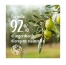 Le Petit Marseillais Gel Lavant Mains Pur Savon & Huile d'Olive Éco-Recharge 500 ml