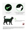 Frontline Combo Spot-On Cats and Ferrets 3 Pipettes