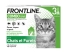 Frontline Combo Spot-On Cats and Ferrets 3 Pipettes