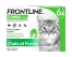 Frontline Combo Spot-On Chats et Furets 6 Pipettes