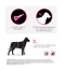 Frontline TRI-ACT Chiens 20-40 kg 6 Pipettes