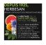 Herbesan Transiphyt 60 Capsules