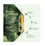 Superdiet Quatuor Organic Joints 20 Phials