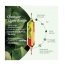 Superdiet Quatuor Circulation Bio 20 Ampoules