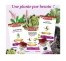 Superdiet Aubier de Tilleul Bien-Être Digestif Bio 20 Ampoules