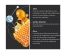 Herbesan Royal Jelly Honey Zinc From 4 Years Old 20 Phials
