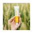 Weleda Arnica Crema Biologica 25 g