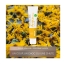 Weleda Arnica Crème 25 g
