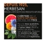 Herbesan Bronzage Sublime 60 Gélules