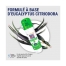 Insect Ecran Spray Anti-Moustiques Actif Végétal 100 ml
