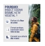 Insect Ecran Brume Anti-Moustiques Zones Infestées Actif Végétal 100 ml