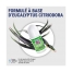 Insect Ecran Roll-on Anti-Moustiques Actif Végétal 50 ml