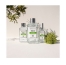 Berdoues Eau de Cologne Vétiver Berdoues 245ml