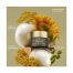 Origins Plantscription Crème Yeux Correction Rides 15 ml