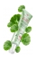 Erborian CC Red Correct con Centella Asiatica 15 ml