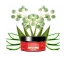 Easy Pouss Edge à Toute Epreuve Cire Coiffante 100 ml