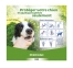 Clément Thékan Perfikan 67 mg/600 mg Petits Chiens 4 Pipettes