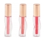 Profusion Cosmetics Dream Pout Lip Oil Set